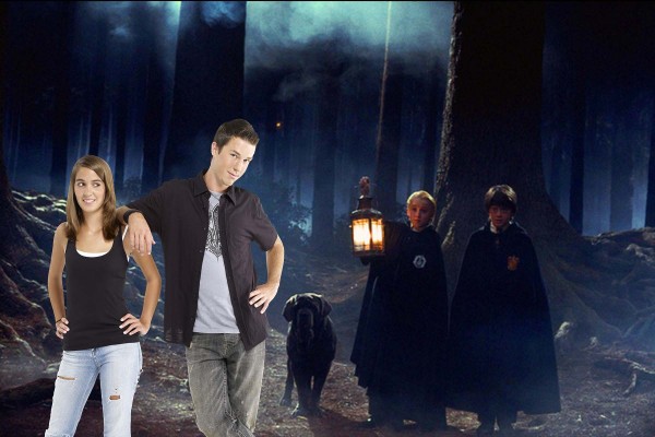 Harry Potter Dark Forest